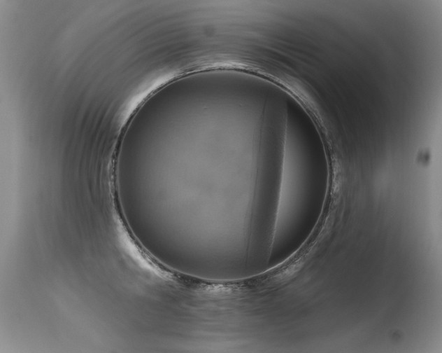 X0000115630806200911101437
