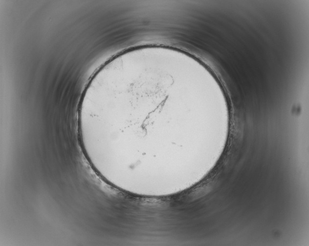 X0000115630807200911101437