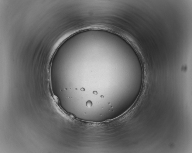 X0000115630808200911101437