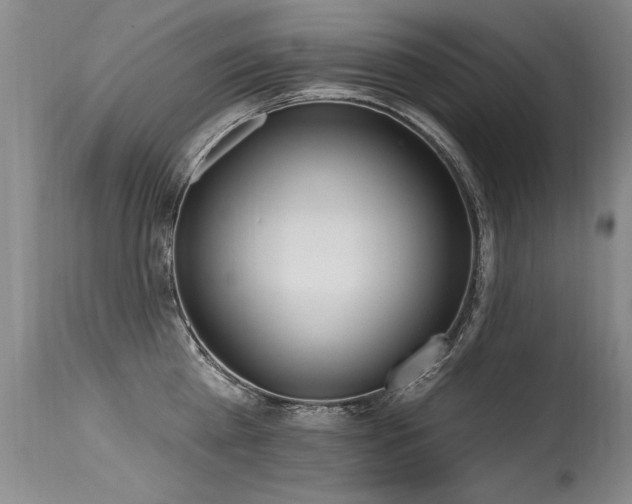X0000115630809200911101437