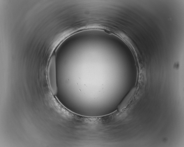 X0000115630813200911101437