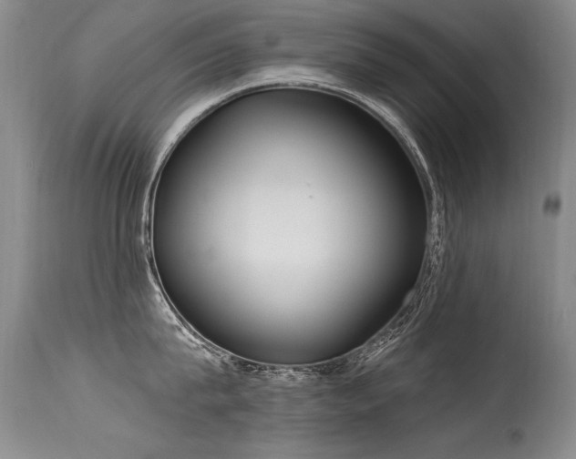 X0000115630815200911101437