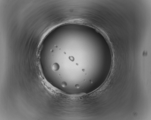 X0000115630816200911101436