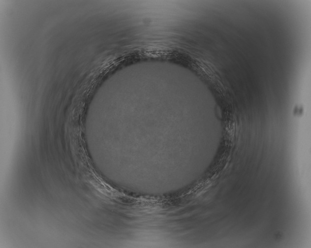X0000115630817200911101436