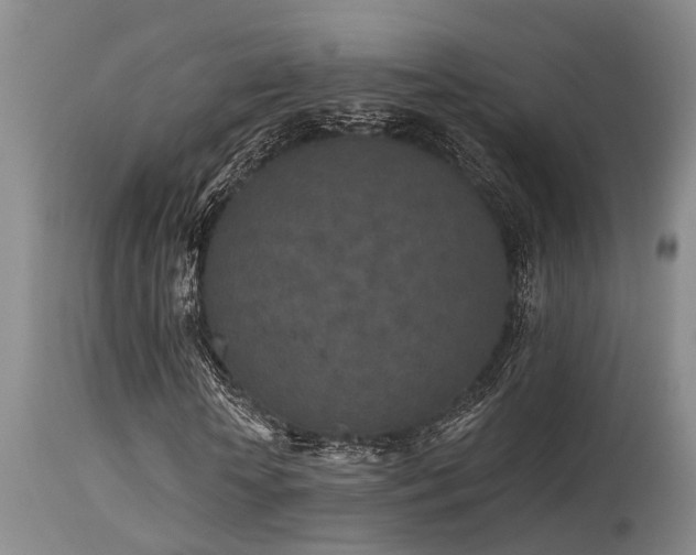 X0000115630818200911101436