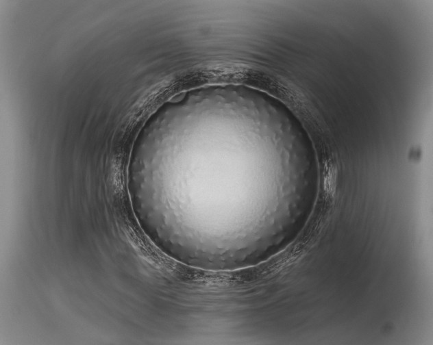 X0000115630819200911101436