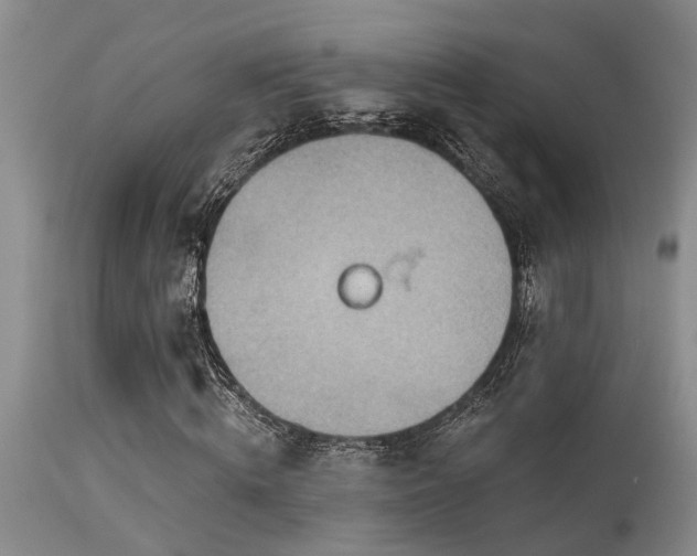 X0000115630820200911101436
