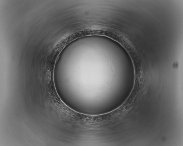 X0000115630821200911101436
