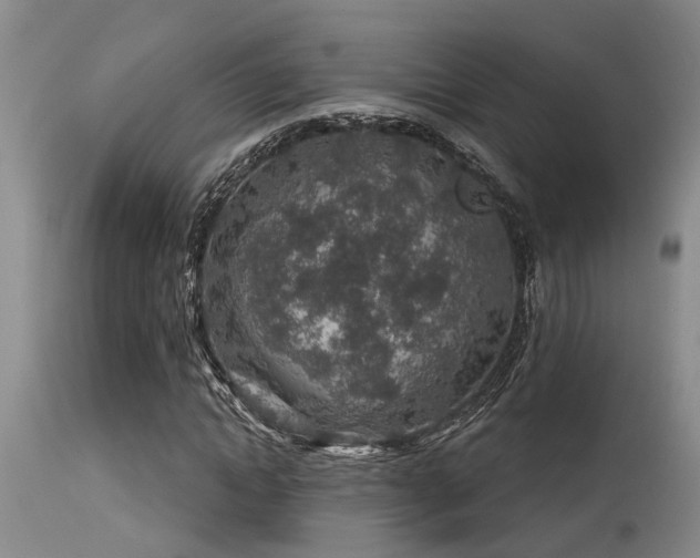 X0000115630822200911101436