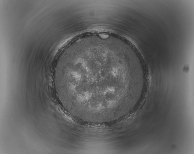 X0000115630823200911101436