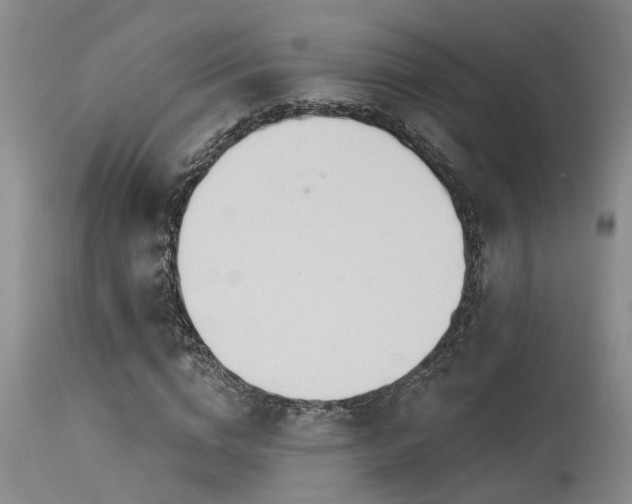 X0000115630824200911101436