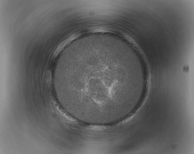X0000115630825200911101436