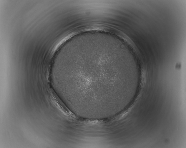 X0000115630826200911101436