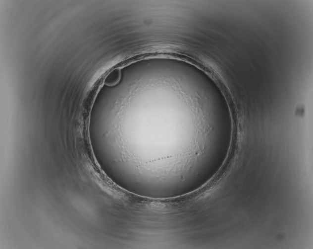 X0000115630827200911101436