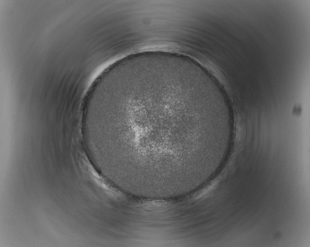 X0000115630830200911101436