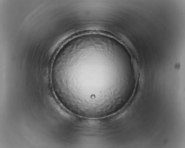 X0000115630831200911101436