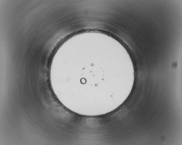 X0000115630832200911101436