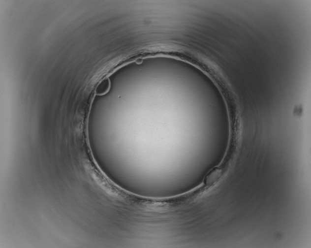 X0000115630833200911101436