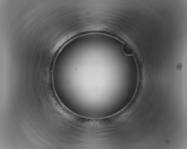 X0000115630834200911101436