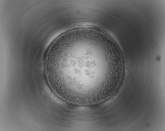 X0000115630835200911101436
