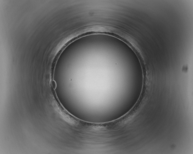 X0000115630837200911101436