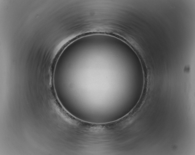 X0000115630838200911101436