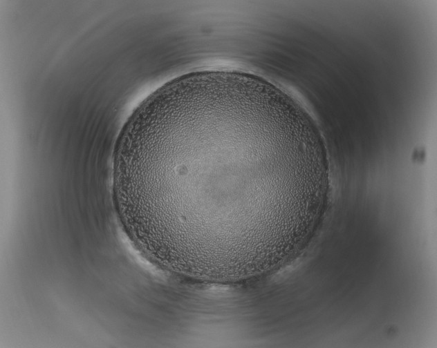 X0000115630839200911101436