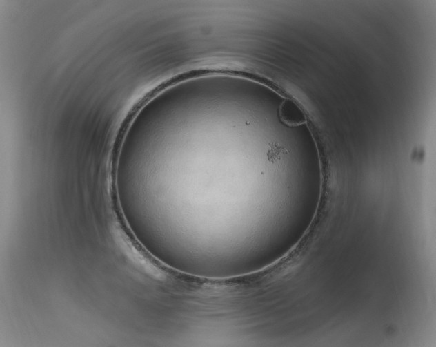 X0000115630840200911101436