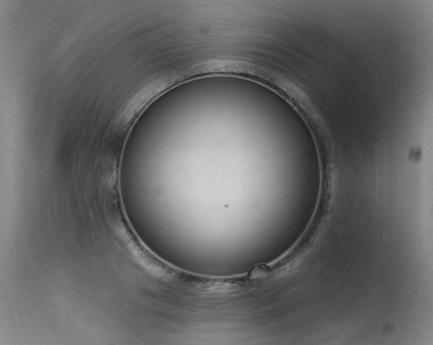 X0000115630841200911101436