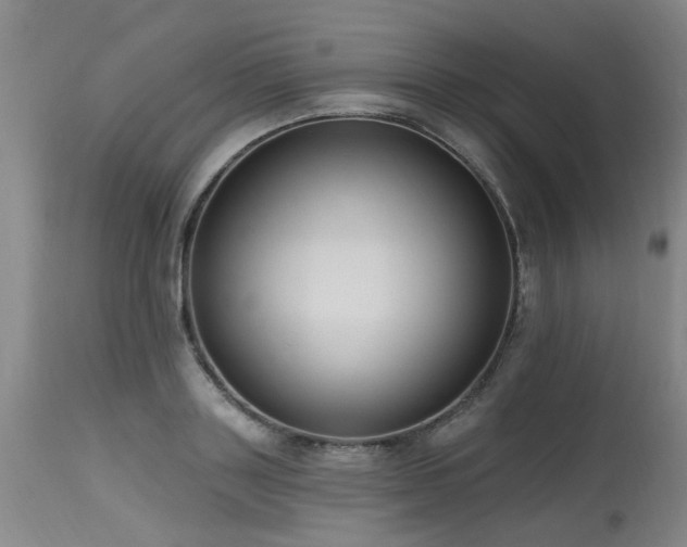 X0000115630843200911101436