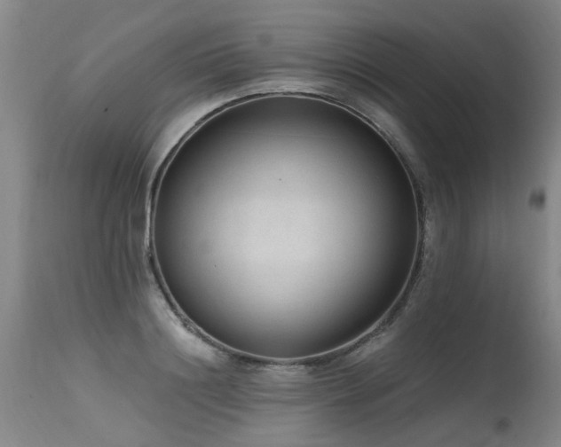 X0000115630844200911101436