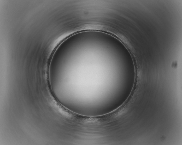 X0000115630846200911101436