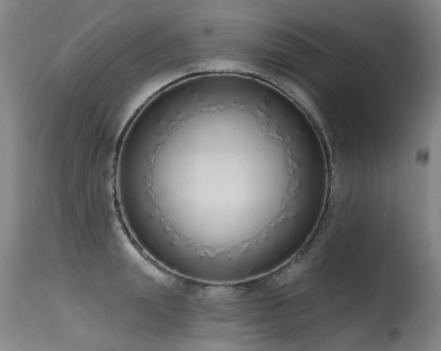 X0000115630847200911101436