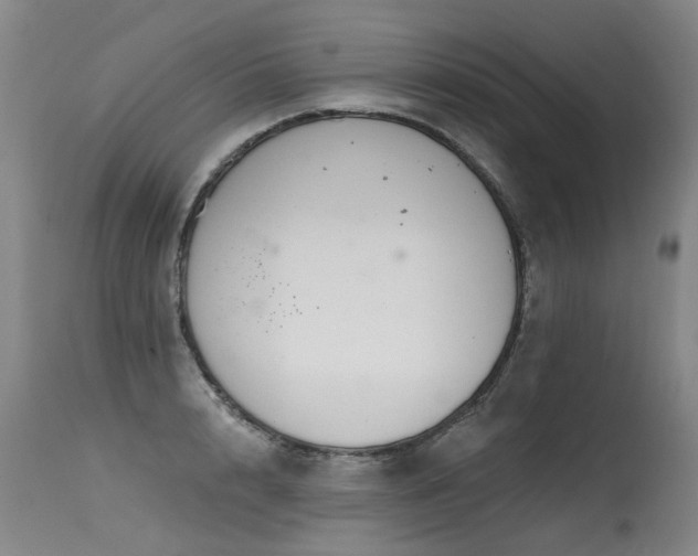 X0000115630848200911101436