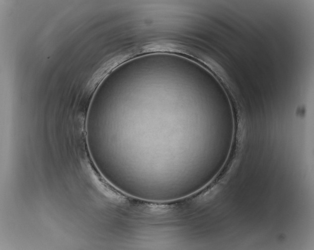X0000115630849200911101436