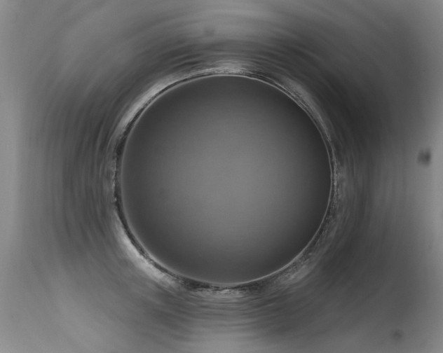 X0000115630851200911101436