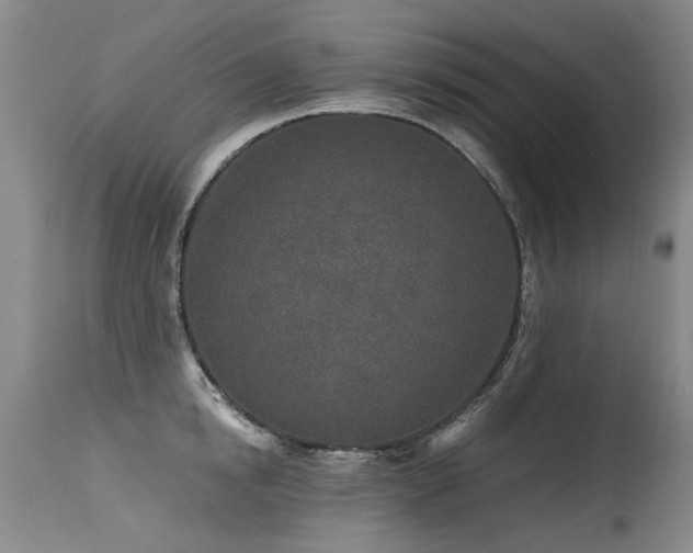 X0000115630854200911101436