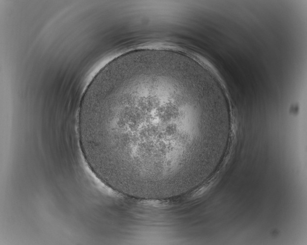 X0000115630855200911101436