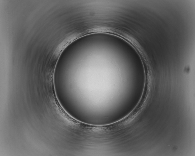 X0000115630857200911101436