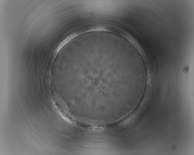 X0000115630858200911101436