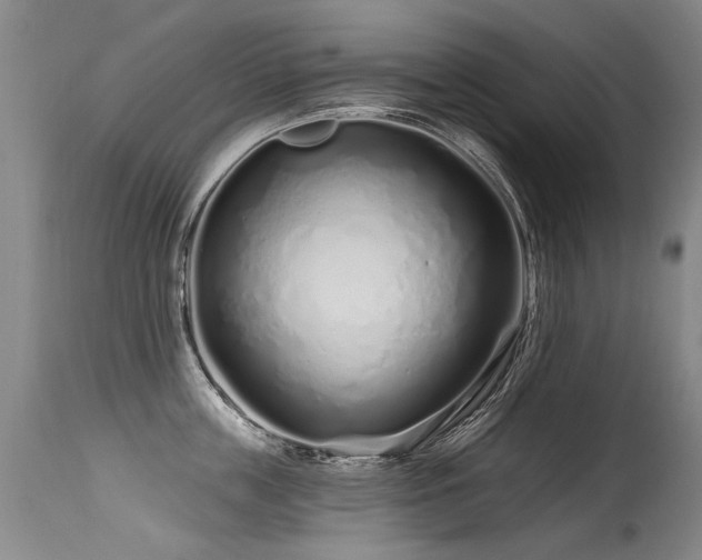 X0000115630859200911101436