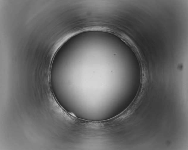 X0000115630860200911101436