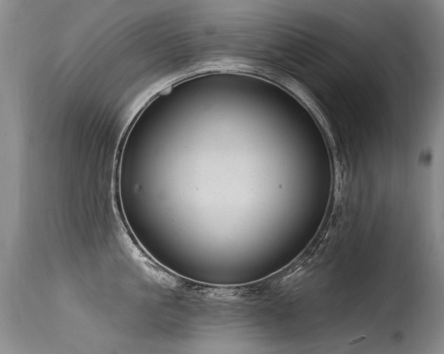 X0000115630861200911101436