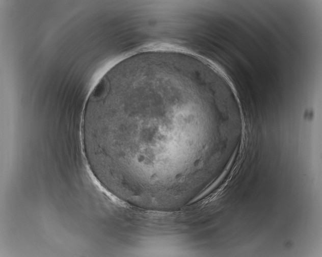 X0000115630863200911101436