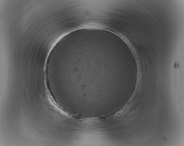 X0000115630864200911101436