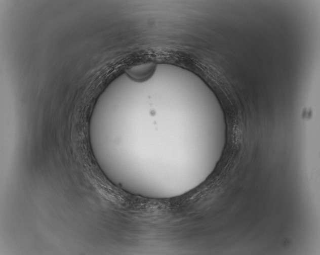 X0000115630865200911101436