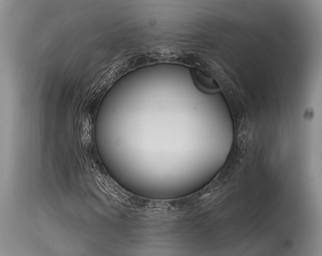 X0000115630866200911101436