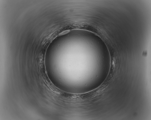 X0000115630867200911101436