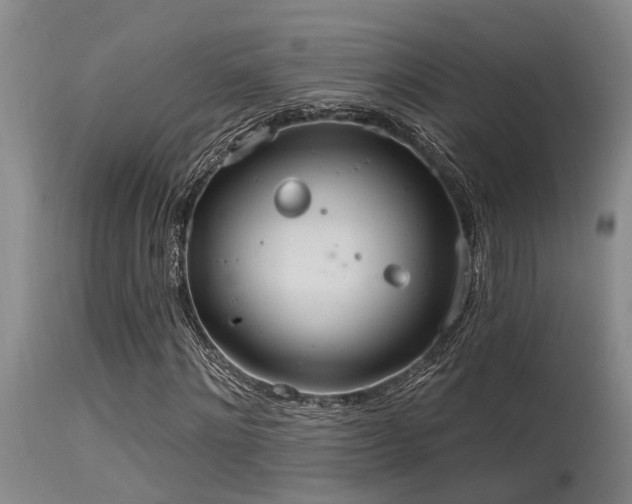 X0000115630868200911101436