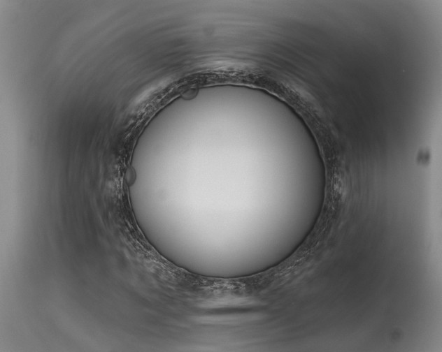 X0000115630869200911101436
